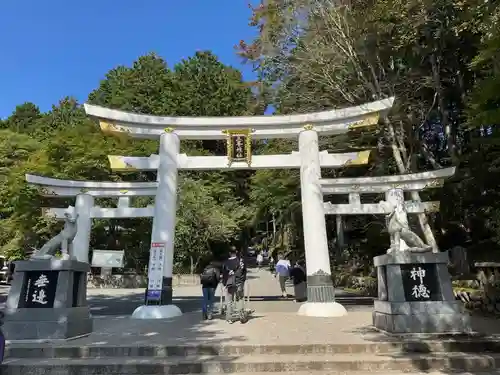 三峯神社(埼玉県)
