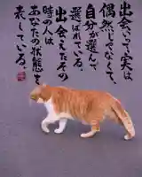 専念寺(大阪府)