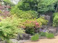 高薗寺の庭園