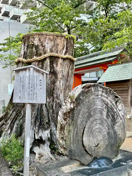 生田神社の{uncategorized: "未分類", other: "その他", undefined: "問題あり", building: "その他建物", grave: "お墓", sacred_gate: "鳥居", guardian: "狛犬", statue: "像", buddha: "仏像", history: "歴史", nature: "自然", garden: "庭園", animal: "動物", pagoda: "塔", temizu: "手水舎", mountain_gate: "山門・神門", sanctuary: "本殿・本堂", subordinate: "末社・摂社", art: "芸術", scenery: "景色", jizo: "地蔵", ema: "絵馬", goshuin: "御朱印", omikuji: "おみくじ", items: "授与品その他", amulet: "お守り", goshuincho: "御朱印帳", eats: "食事", festival: "お祭り", votive_dance: "神楽", shichigosan: "七五三参", wedding: "結婚式", experience: "体験その他", initially: "初詣", around: "周辺", anti_infection: "感染症対策"}