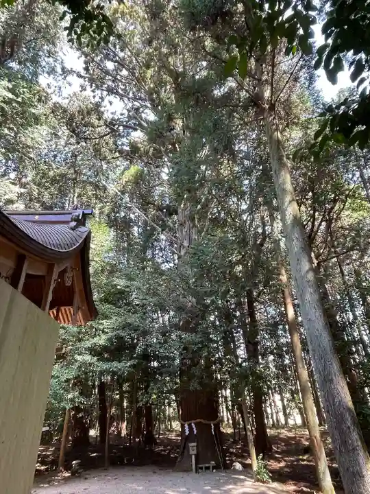 山本神社(滋賀県)