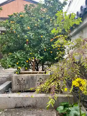 祐正寺の手水舎