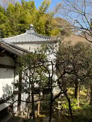 御寺 泉涌寺の{uncategorized: "未分類", other: "その他", undefined: "問題あり", building: "その他建物", grave: "お墓", sacred_gate: "鳥居", guardian: "狛犬", statue: "像", buddha: "仏像", history: "歴史", nature: "自然", garden: "庭園", animal: "動物", pagoda: "塔", temizu: "手水舎", mountain_gate: "山門・神門", sanctuary: "本殿・本堂", subordinate: "末社・摂社", art: "芸術", scenery: "景色", jizo: "地蔵", ema: "絵馬", goshuin: "御朱印", omikuji: "おみくじ", items: "授与品その他", amulet: "お守り", goshuincho: "御朱印帳", eats: "食事", festival: "お祭り", votive_dance: "神楽", shichigosan: "七五三参", wedding: "結婚式", experience: "体験その他", initially: "初詣", around: "周辺", anti_infection: "感染症対策"}