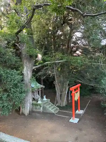 稲荷神社(千葉県)