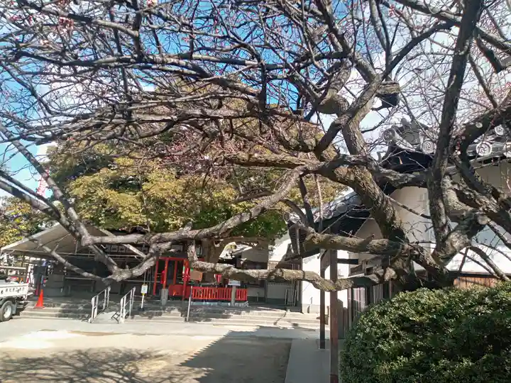 大宮神社の自然