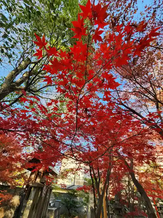 呉服神社(大阪府)