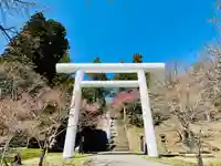 土津神社|こどもと出世の神さまの鳥居