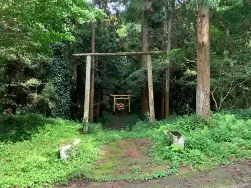 安房大杉神社の鳥居