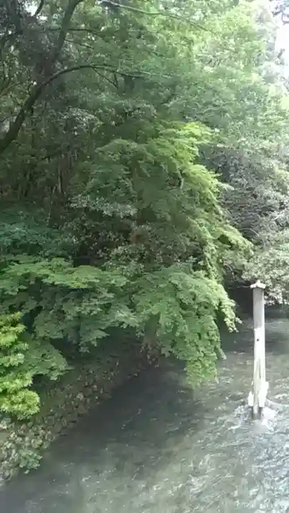 伊勢神宮内宮(皇大神宮)の自然