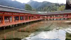 厳島神社の建物その他