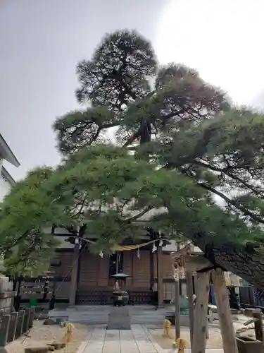 瑞光寺の庭園