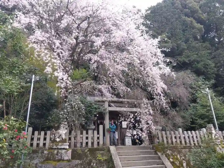 大豊神社(京都府)