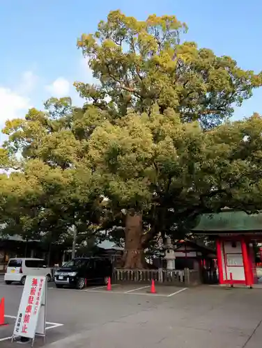 春日神社(大分県)