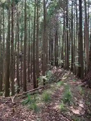 琴平神社の周辺