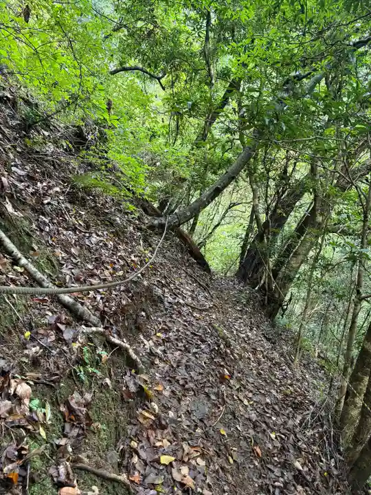 聖神社(高知県)