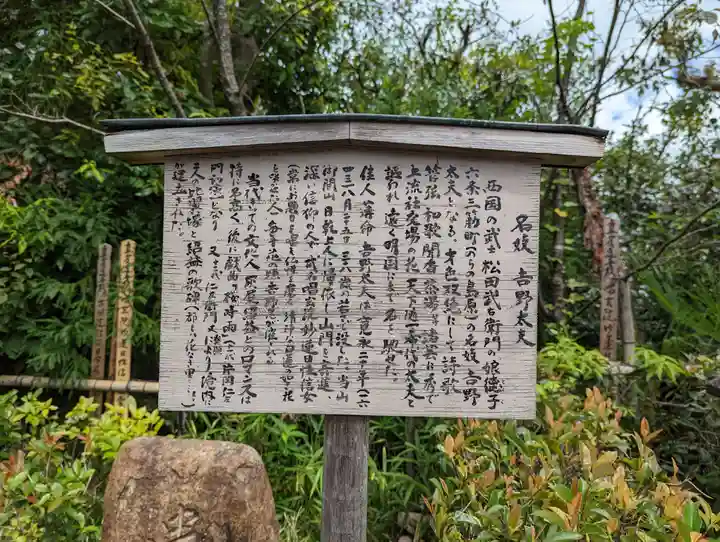 常照寺(京都府)