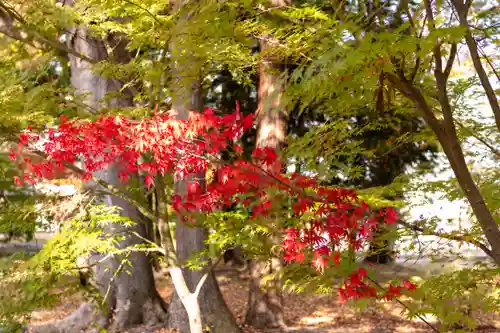 武水別神社(長野県)