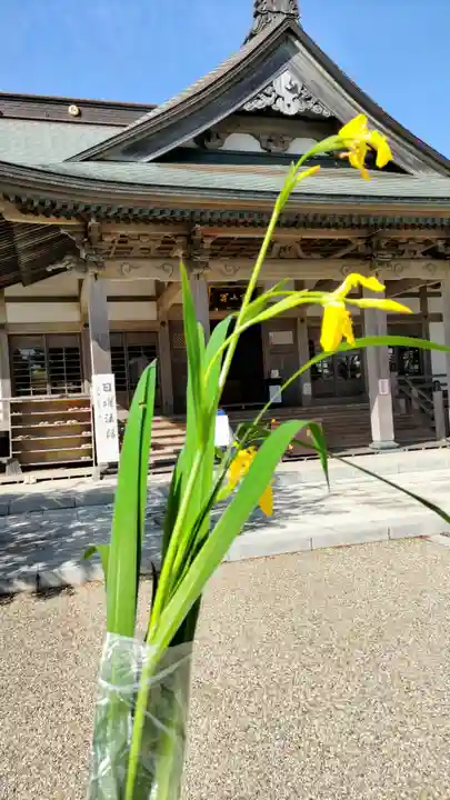 光明寺(神奈川県)