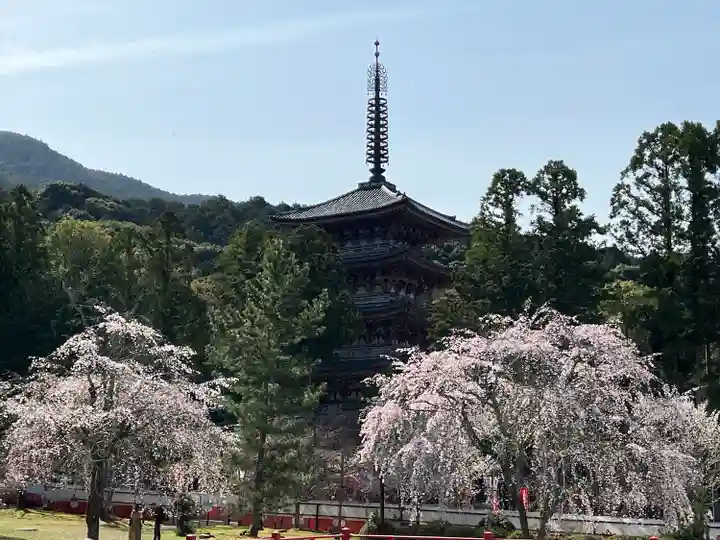 醍醐寺(京都府)