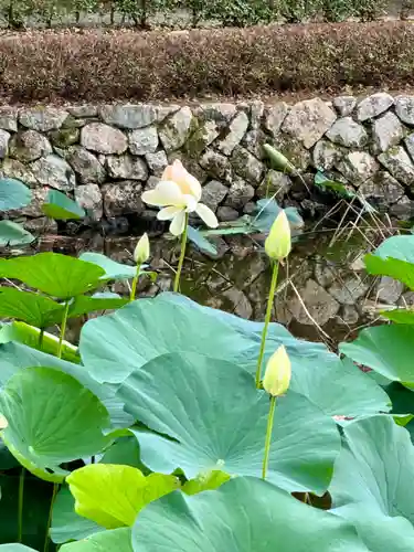 東福禅寺（東福寺）(京都府)