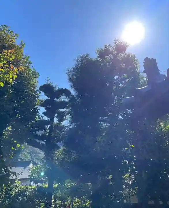 法東山 極楽寺の自然