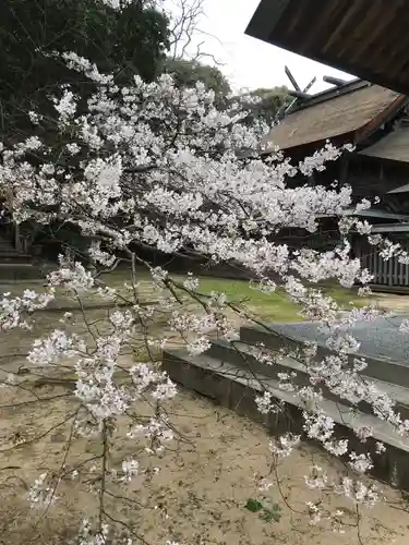 長浜神社の本殿