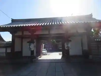 東寺（教王護国寺）(京都府)