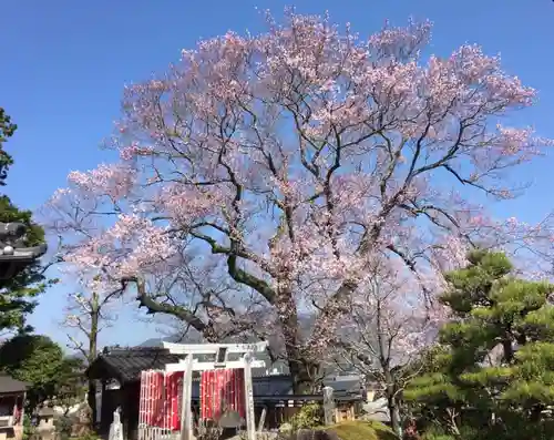 高福寺の自然