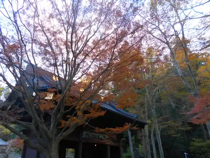 妙本寺の山門・神門