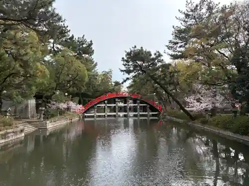 住吉大社の景色