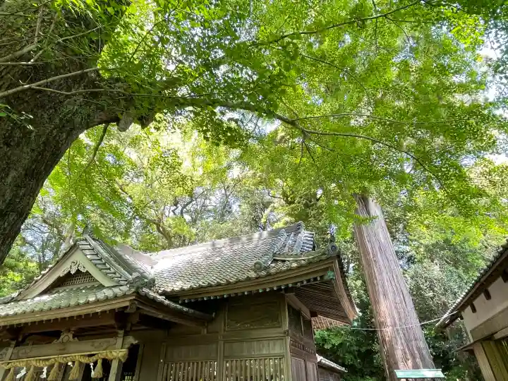 事任八幡宮の{uncategorized: "未分類", other: "その他", undefined: "問題あり", building: "その他建物", grave: "お墓", sacred_gate: "鳥居", guardian: "狛犬", statue: "像", buddha: "仏像", history: "歴史", nature: "自然", garden: "庭園", animal: "動物", pagoda: "塔", temizu: "手水舎", mountain_gate: "山門・神門", sanctuary: "本殿・本堂", subordinate: "末社・摂社", art: "芸術", scenery: "景色", jizo: "地蔵", ema: "絵馬", goshuin: "御朱印", omikuji: "おみくじ", items: "授与品その他", amulet: "お守り", goshuincho: "御朱印帳", eats: "食事", festival: "お祭り", votive_dance: "神楽", shichigosan: "七五三参", wedding: "結婚式", experience: "体験その他", initially: "初詣", around: "周辺", anti_infection: "感染症対策"}