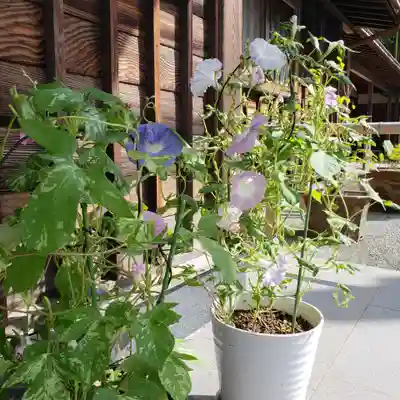 妙蓮寺のその他建物