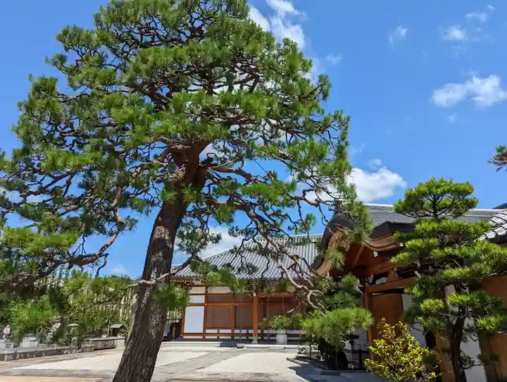 地蔵寺(桂地蔵寺)(京都府)