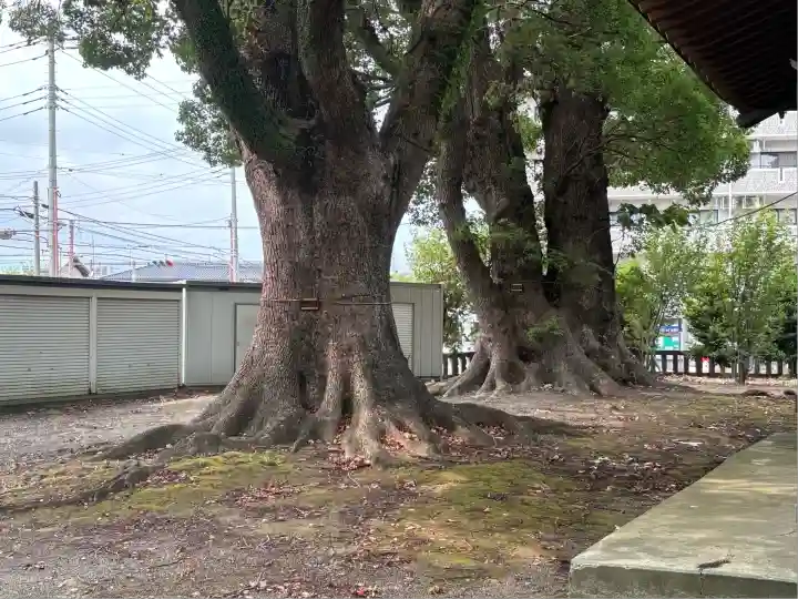 八幡神社(静岡県)