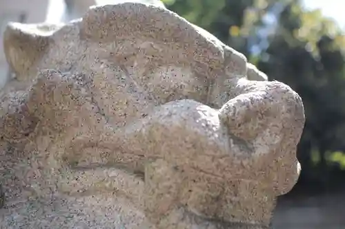 白金氷川神社の狛犬