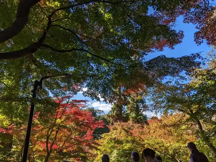 円覚寺(神奈川県)