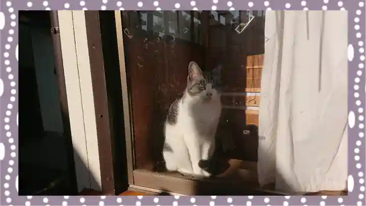 於菊稲荷神社(群馬県)