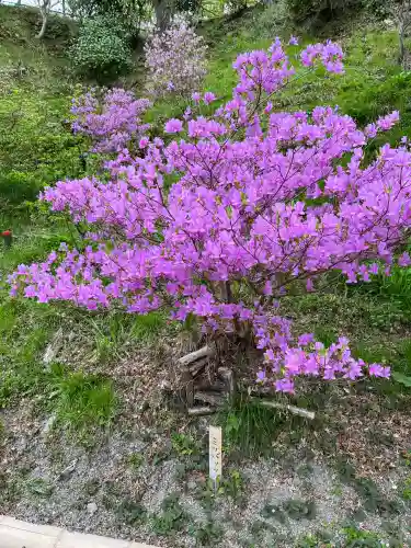 石清水八幡宮(京都府)