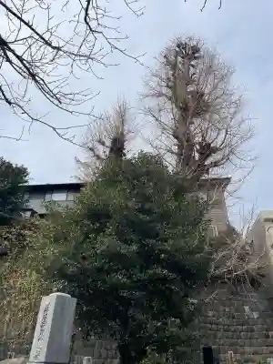 妙行寺の{uncategorized: "未分類", other: "その他", undefined: "問題あり", building: "その他建物", grave: "お墓", sacred_gate: "鳥居", guardian: "狛犬", statue: "像", buddha: "仏像", history: "歴史", nature: "自然", garden: "庭園", animal: "動物", pagoda: "塔", temizu: "手水舎", mountain_gate: "山門・神門", sanctuary: "本殿・本堂", subordinate: "末社・摂社", art: "芸術", scenery: "景色", jizo: "地蔵", ema: "絵馬", goshuin: "御朱印", omikuji: "おみくじ", items: "授与品その他", amulet: "お守り", goshuincho: "御朱印帳", eats: "食事", festival: "お祭り", votive_dance: "神楽", shichigosan: "七五三参", wedding: "結婚式", experience: "体験その他", initially: "初詣", around: "周辺", anti_infection: "感染症対策"}
