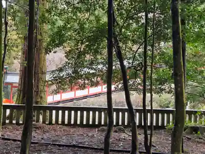 霧島神宮(鹿児島県)