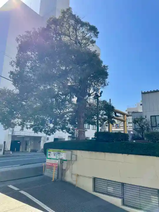 城岡神社の{uncategorized: "未分類", other: "その他", undefined: "問題あり", building: "その他建物", grave: "お墓", sacred_gate: "鳥居", guardian: "狛犬", statue: "像", buddha: "仏像", history: "歴史", nature: "自然", garden: "庭園", animal: "動物", pagoda: "塔", temizu: "手水舎", mountain_gate: "山門・神門", sanctuary: "本殿・本堂", subordinate: "末社・摂社", art: "芸術", scenery: "景色", jizo: "地蔵", ema: "絵馬", goshuin: "御朱印", omikuji: "おみくじ", items: "授与品その他", amulet: "お守り", goshuincho: "御朱印帳", eats: "食事", festival: "お祭り", votive_dance: "神楽", shichigosan: "七五三参", wedding: "結婚式", experience: "体験その他", initially: "初詣", around: "周辺", anti_infection: "感染症対策"}