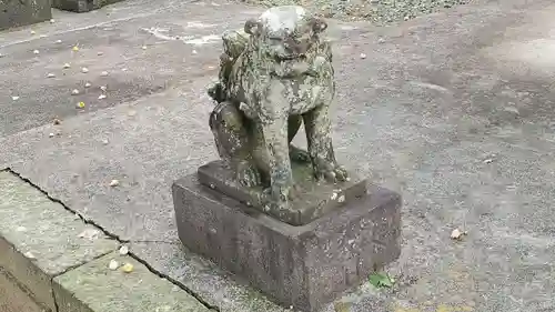 神明神社の狛犬