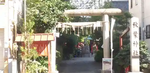 秋葉神社の鳥居