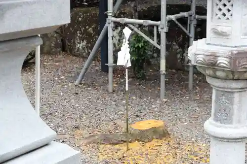 大鏑神社の自然