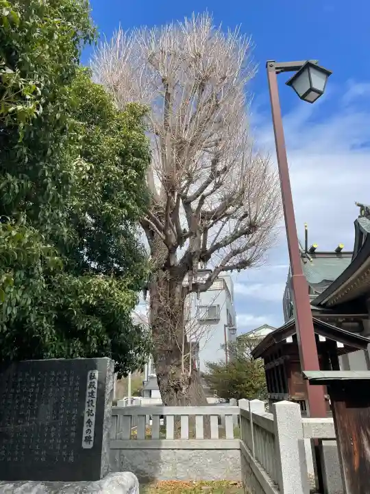 氷川神社の{uncategorized: "未分類", other: "その他", undefined: "問題あり", building: "その他建物", grave: "お墓", sacred_gate: "鳥居", guardian: "狛犬", statue: "像", buddha: "仏像", history: "歴史", nature: "自然", garden: "庭園", animal: "動物", pagoda: "塔", temizu: "手水舎", mountain_gate: "山門・神門", sanctuary: "本殿・本堂", subordinate: "末社・摂社", art: "芸術", scenery: "景色", jizo: "地蔵", ema: "絵馬", goshuin: "御朱印", omikuji: "おみくじ", items: "授与品その他", amulet: "お守り", goshuincho: "御朱印帳", eats: "食事", festival: "お祭り", votive_dance: "神楽", shichigosan: "七五三参", wedding: "結婚式", experience: "体験その他", initially: "初詣", around: "周辺", anti_infection: "感染症対策"}