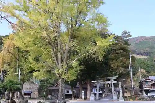 須賀神社(滋賀県)