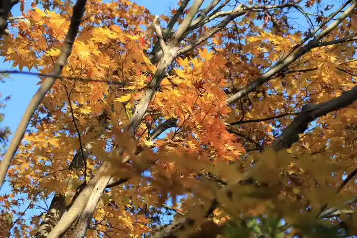 豊景神社の庭園