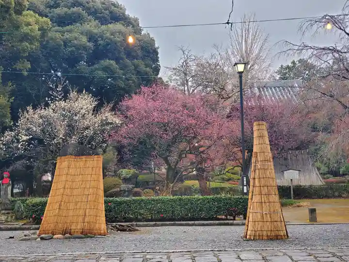 鑁阿寺(栃木県)