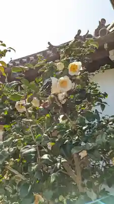 浄安寺(京都府)