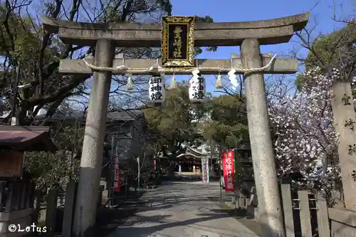 豊崎神社の鳥居